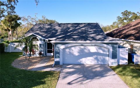 A home in VALRICO