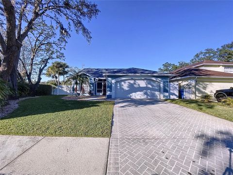 A home in VALRICO