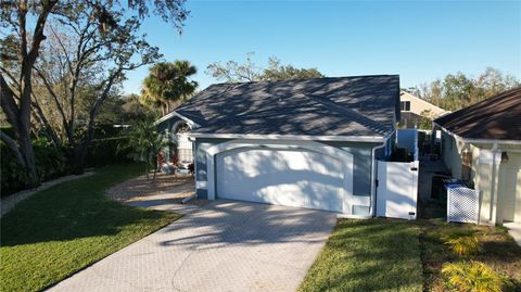 A home in VALRICO