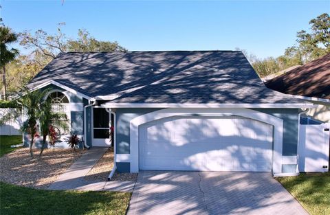 A home in VALRICO