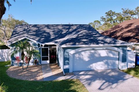 A home in VALRICO