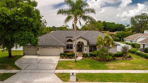 Single Family Residence in ODESSA FL 17302 CARRIAGE WAY.jpg