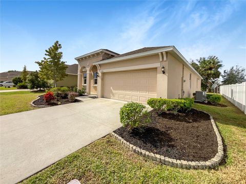 A home in MOUNT DORA