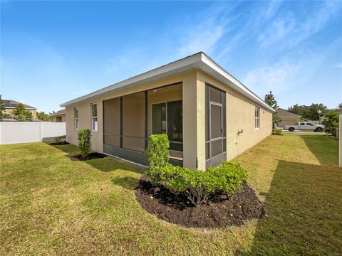 A home in MOUNT DORA