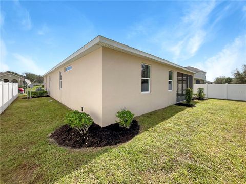 A home in MOUNT DORA