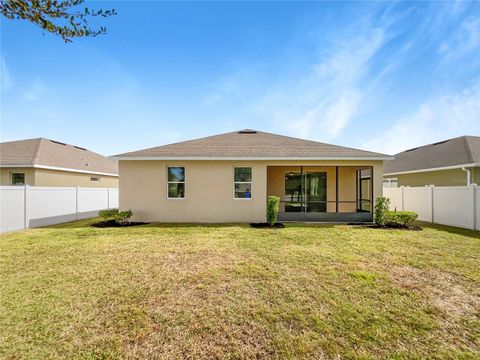 A home in MOUNT DORA