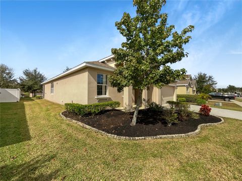 A home in MOUNT DORA