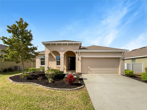 A home in MOUNT DORA