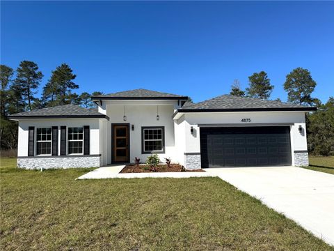 4875 SW 159TH LANE ROAD OCALA FL 34473