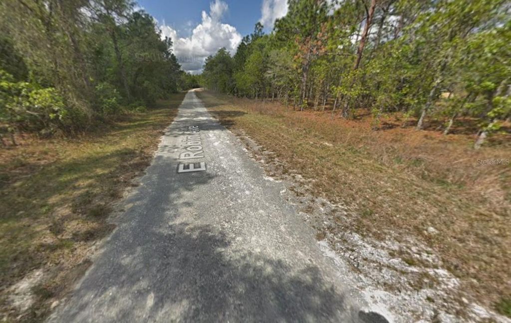 Photo of Resort Avenue, Weeki Wachee, FL 34614 (MLS # K4903226)