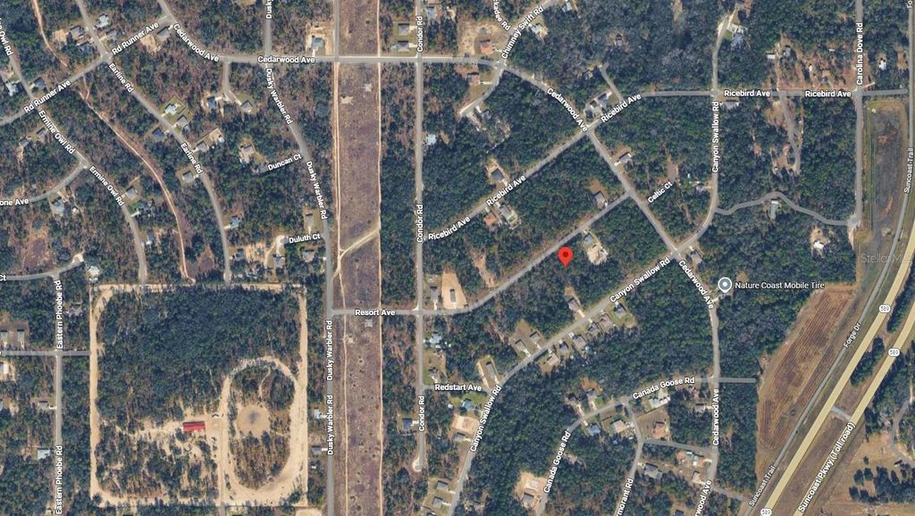 Photo of Resort Avenue, Weeki Wachee, FL 34614 (MLS # K4903226)