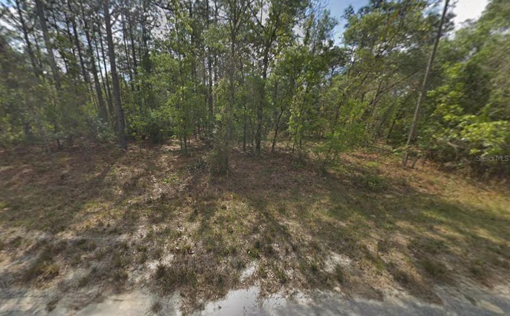 Photo of Resort Avenue, Weeki Wachee, FL 34614 (MLS # K4903226)