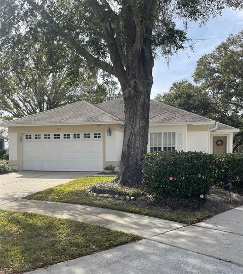 A home in MOUNT DORA