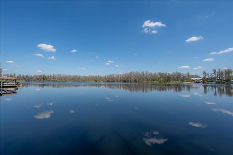 A home in LAND O LAKES