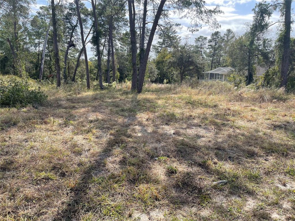 Photo of 2394 Lema Dr, Spring Hill, FL 34609 (MLS # TB8417914)