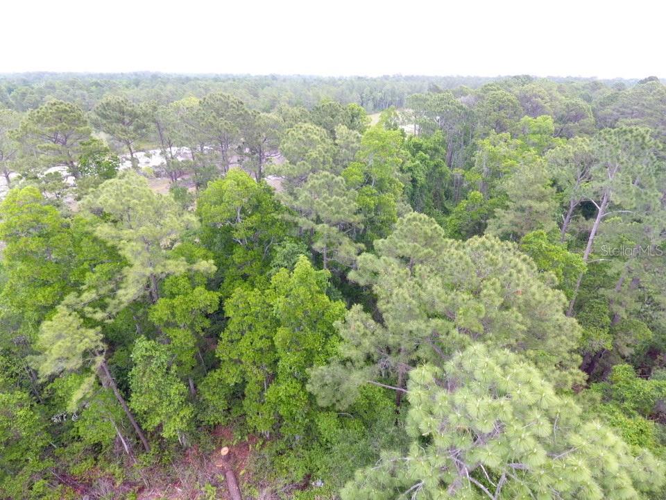 CRESCENT ACRES - Land