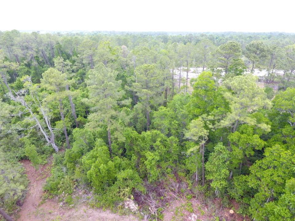 CRESCENT ACRES - Land