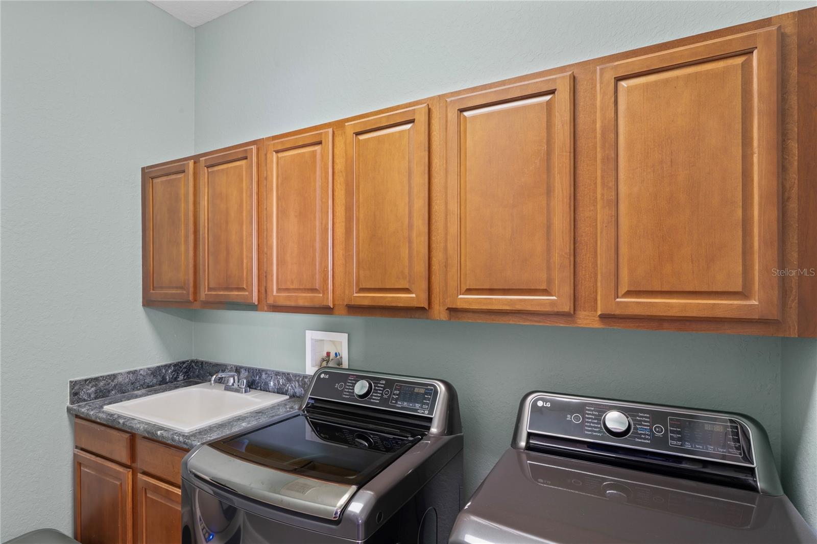 WILDERNESS LAKE PRESERVE PH 2 - Residential