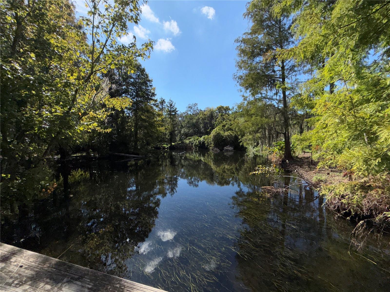 MEAD GARDEN - Residential