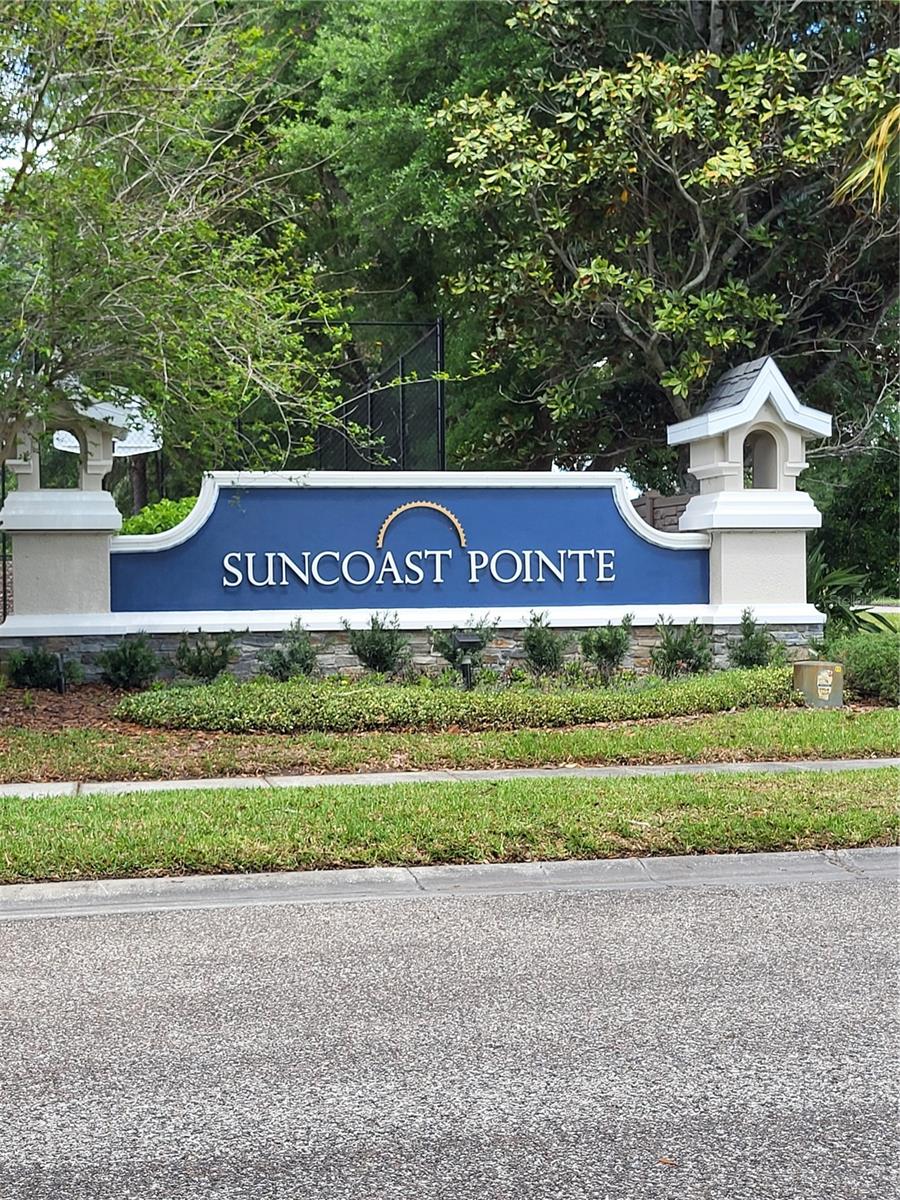 SUNCOAST POINTE VILLAGES 1A & 1B - Residential