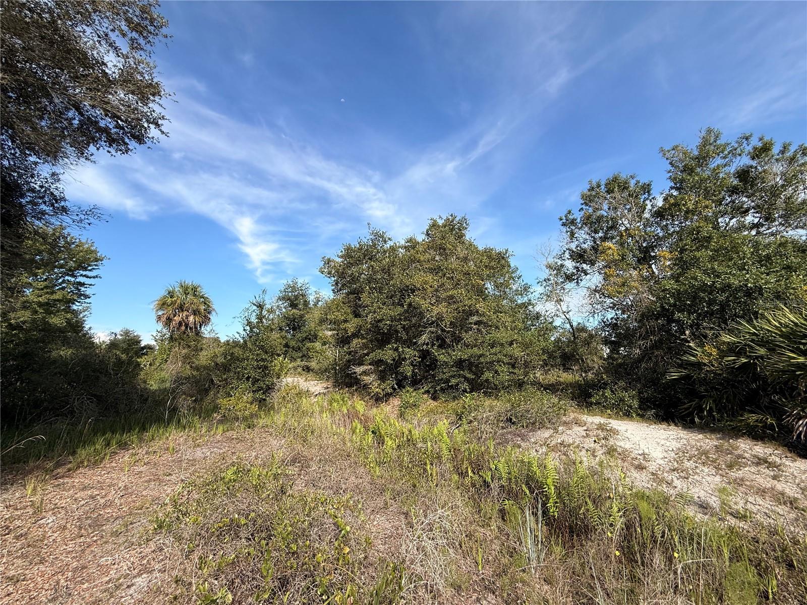 21231 NW 270TH STREET