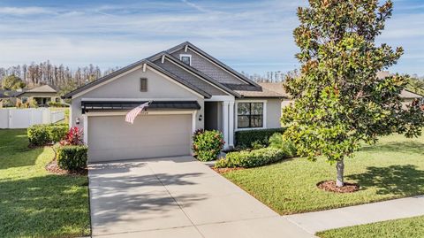 19724 POST ISLAND LOOP LAND O LAKES FL 34638