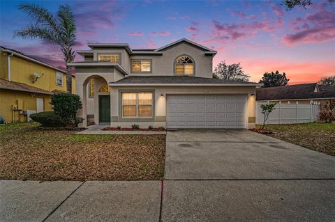 314 LANCER OAK DRIVE APOPKA FL 32712