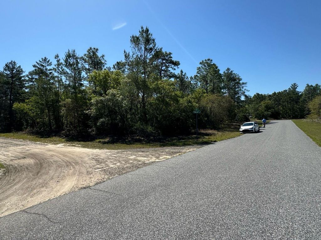 Photo of 3861 W Malby Lane, Dunnellon, FL 34433 (MLS # O6384766)