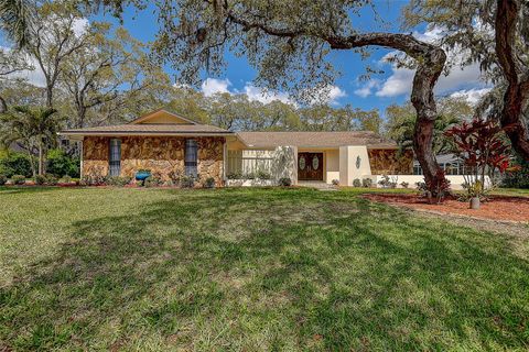 Photo of 2840 Pheasant Run, Clearwater, FL 33759 (MLS # TB8491568)