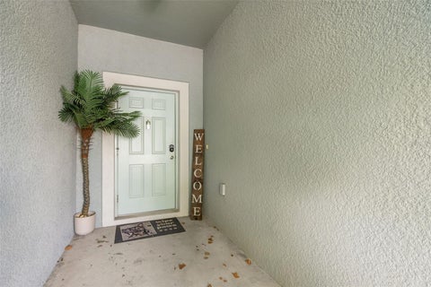 7627 French Marigold Avenue, Tampa, FL 33619