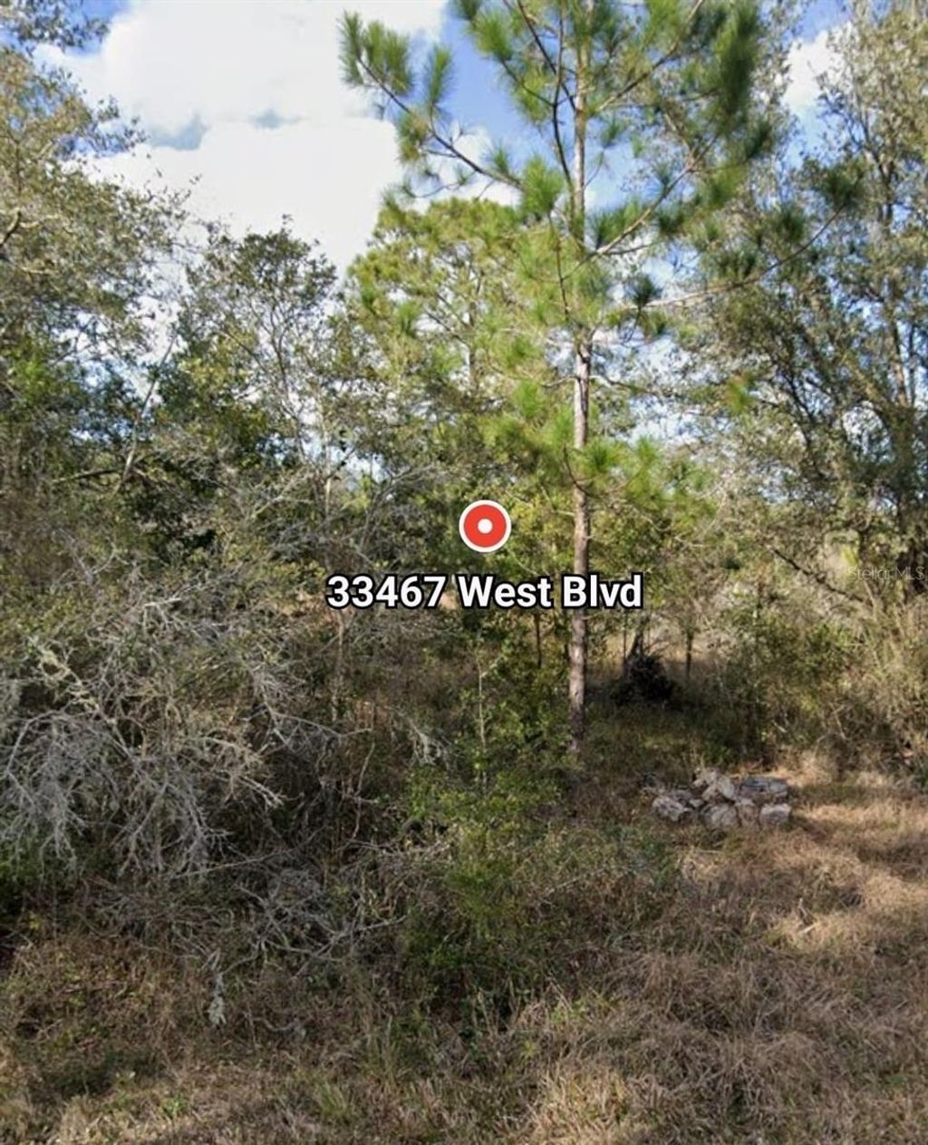 Photo of 33467 West Boulevard, Webster, FL 33597 (MLS # W7881966)