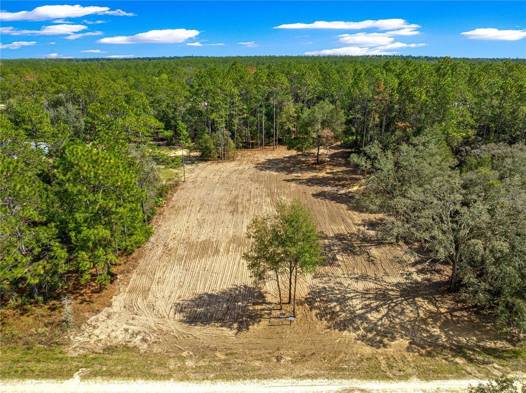 Photo of 8435 SW 130 Terrace, Dunnellon, FL 34432 (MLS # O6351475)