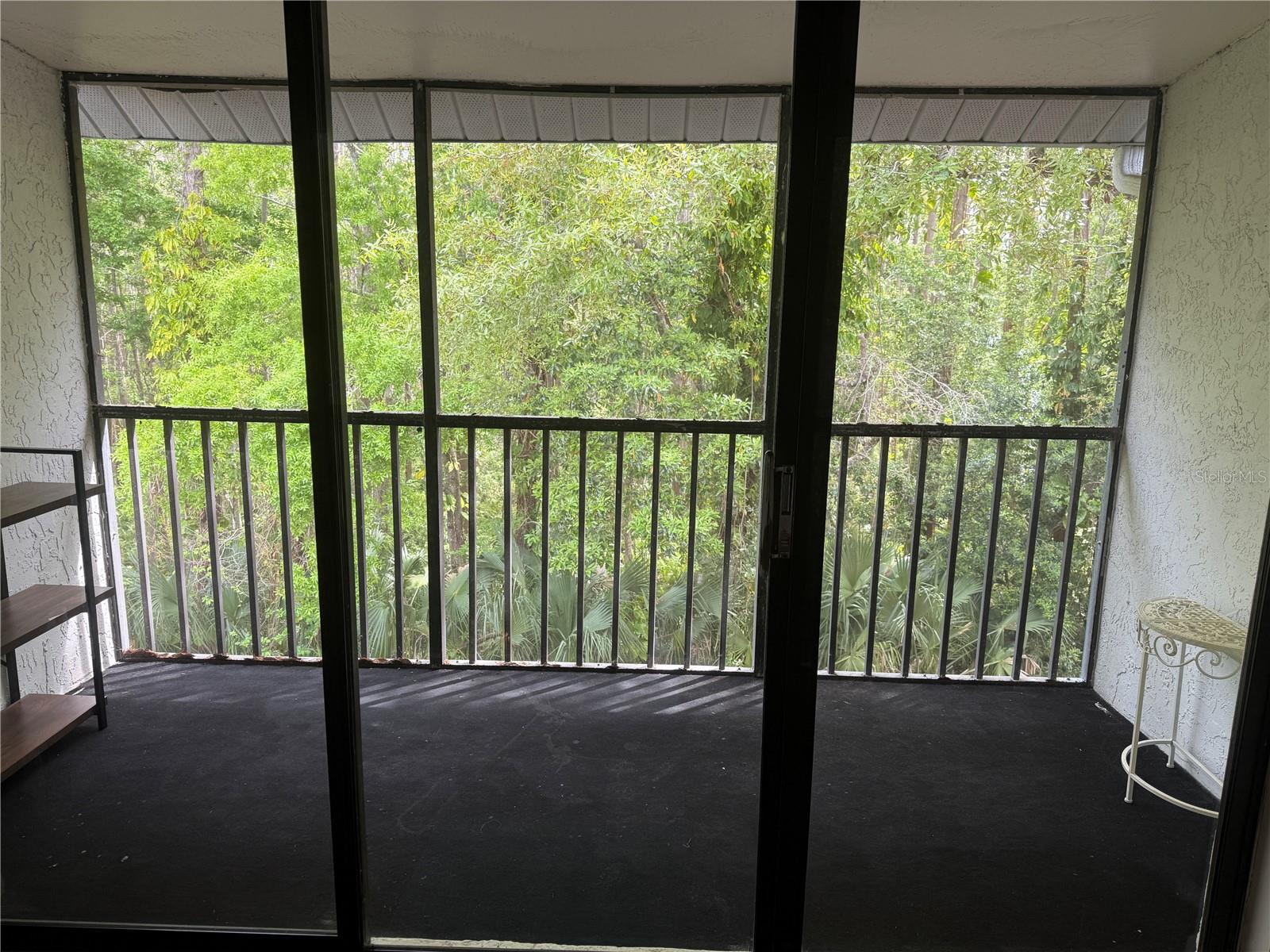 PINE RIDGE AT LAKE TARPON VILLAGE - Residential