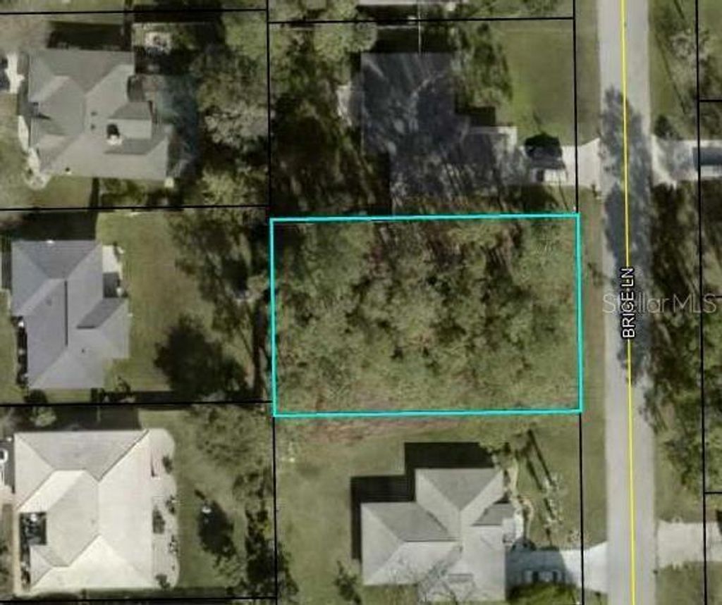 Photo of 11 Brice Lane, Palm Coast, FL 32137 (MLS # FC312288)