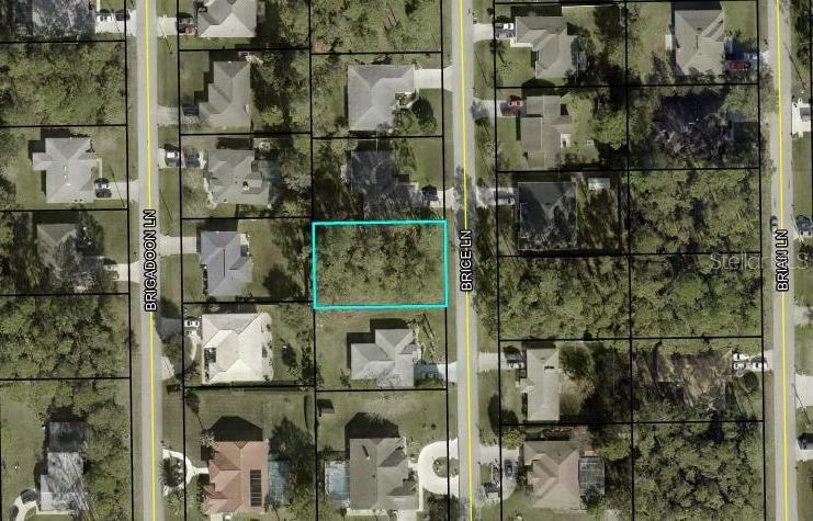 11 BRICE LANE