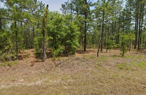 Photo of 00 NW Columbine Avenue, Dunnellon, FL 34431 (MLS # OM733271)