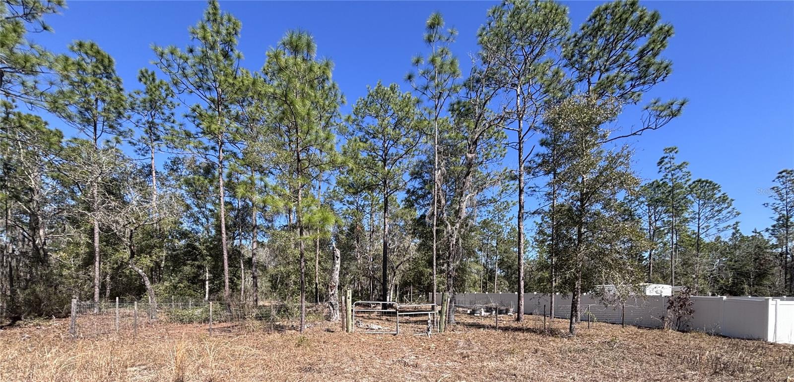 This quarter-acre lot is mostly cleared, with a few fully grown pine trees scattered around. It’s fully fenced and located off a quiet road, offering a peaceful setting. The property is less than 10 minutes from downtown Williston, making it easy to access local shops and services, and Gainesville is just over a 30-minute drive away for additional amenities. This lot offers a nice balance of privacy and convenience, ideal for building a home or setting up a getaway.
