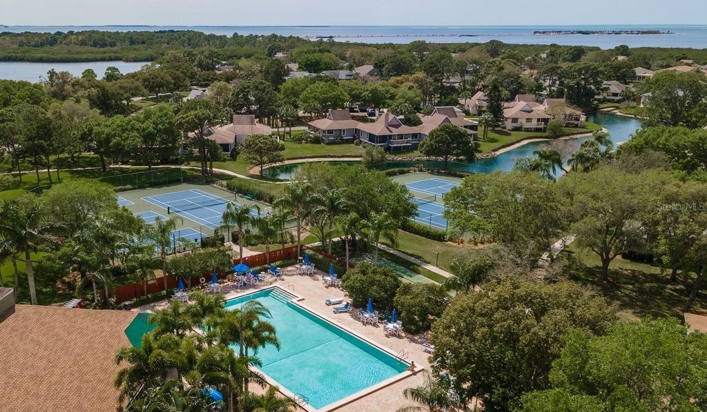 Photo of 1023 Lake Avoca Place, Tarpon Springs, FL 34689 (MLS # TB8416534)