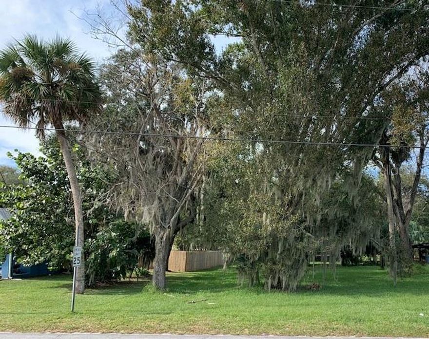 Not too big, not too small, but JUST RIGHT!  This .25 acre parcel is located in the heart of Oak Hill between US1 and the River.  This lot is mostly cleared and zoned for a single-family home.  It is a beautiful homesite that is within walking distance to the park, restaurants, local churches, Burns Sci Tech Charter School, Seminole Rest, and the Post Office.; Cleared: Partial ;Water: Available at Site
