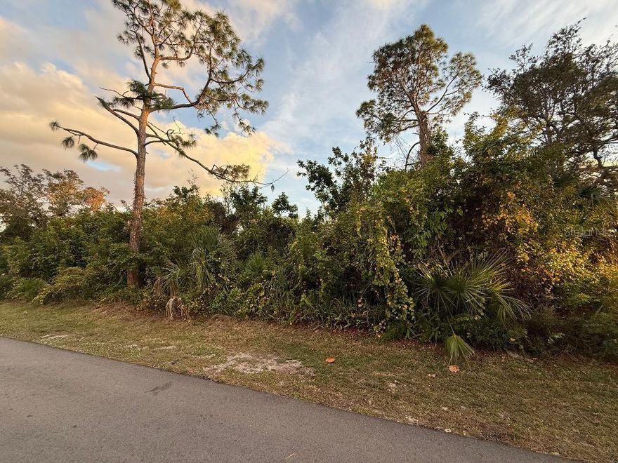 Vacant residential lot located on Jupiter Rd in desirable South Venice. This 120 x 100 lot (12,000 sq ft) offers a great opportunity to build your Florida home in a well-established neighborhood with no HOA or deed restrictions. 12,000 sqft consists of one 8,000 sqft lot plus an additional 4,000 sqft from the vacant lot next door, which the owner will subdivide. A total of 12,000 sqft is offered at this price. Conveniently located close to the South Venice Ferry with private beach access, Shamrock Park & Nature Center and just minutes to Manasota Beach and Venice Beach. Enjoy nearby biking and walking trails, kayaking, tennis and basketball courts, playgrounds and beautiful natural surroundings. Easy access to shopping, dining, downtown Venice, downtown Wellen Park and major roadways. Don’t miss this opportunity to build in one of Venice’s most sought-after areas.