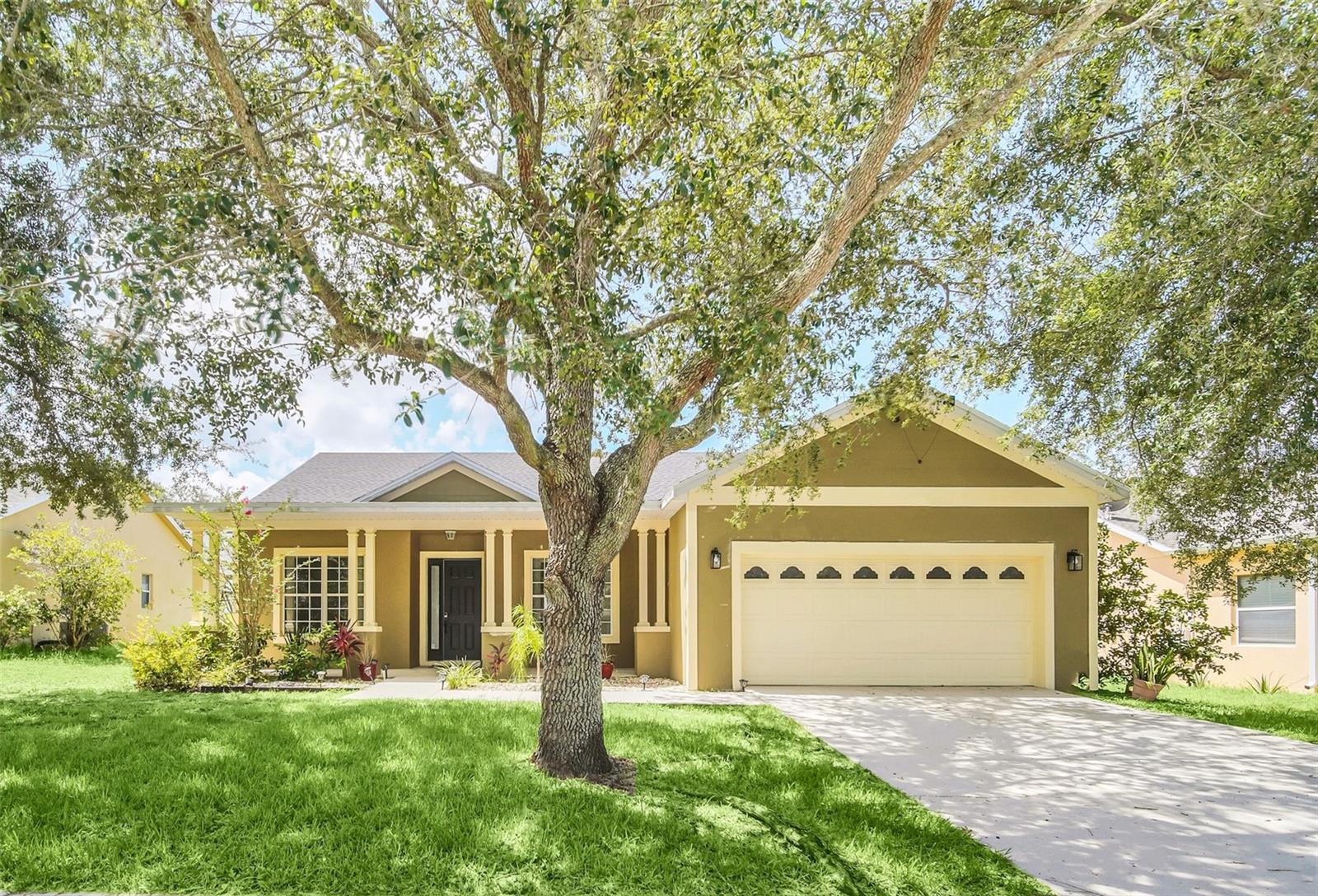 View MINNEOLA, FL 34715 house