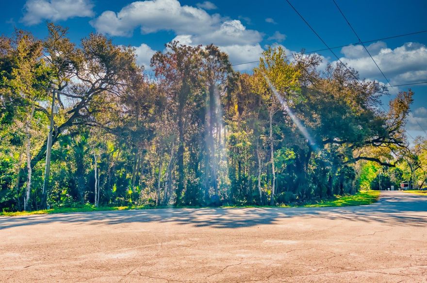LOOK NO FURTHER!! This beautiful 1.25 acre lot is ready for your dream home! Nestled in the sought after Tara Trails neighborhood. This quaint neck of the woods is country living but with all the conveniences of being in town. Great price won't last long!!!!; Cleared: No