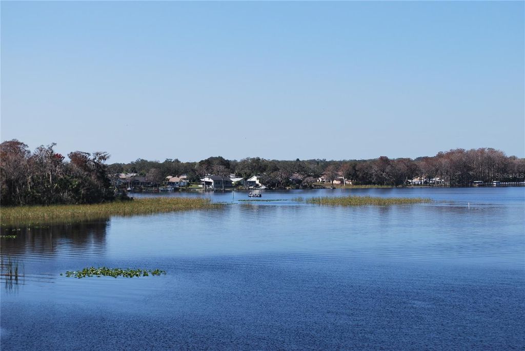 listing image 47