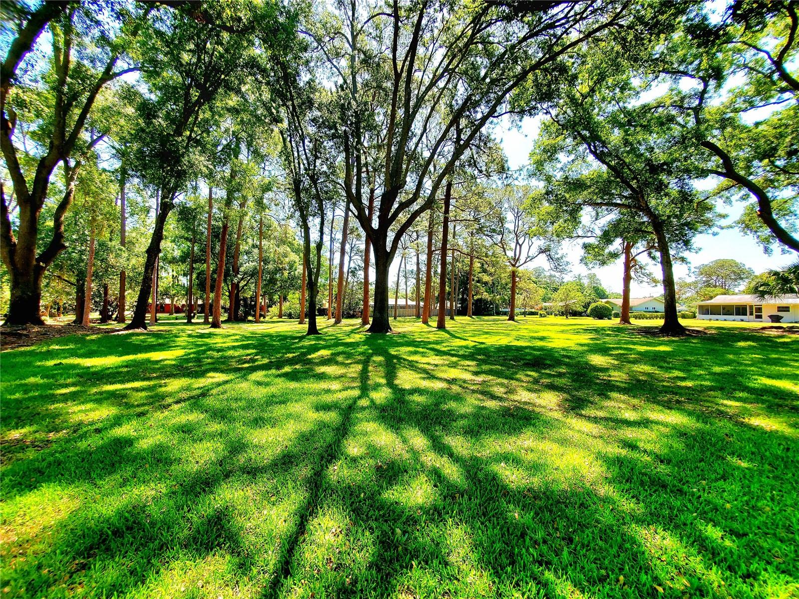 ANCHORAGE OF TARPON LAKE UNIT ONE THE - Residential