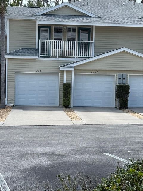 1715 HAMMOCKS AVENUE 1715 LUTZ FL 33549