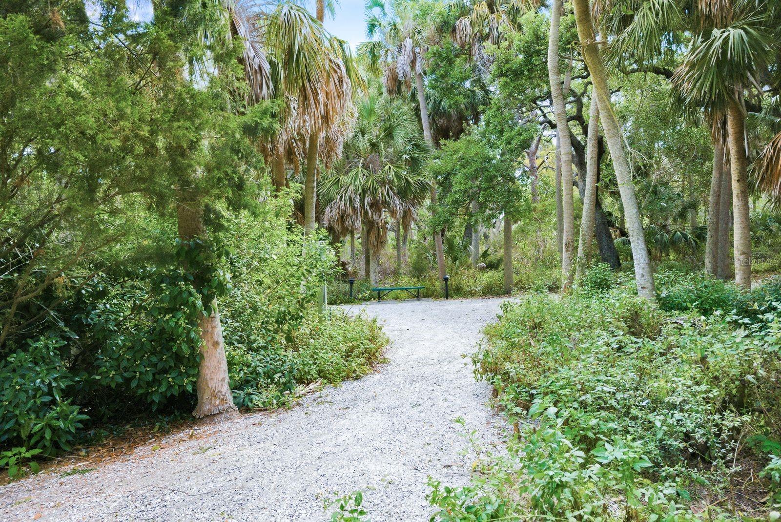 COVE AT LOGGERHEAD MARINA - Residential