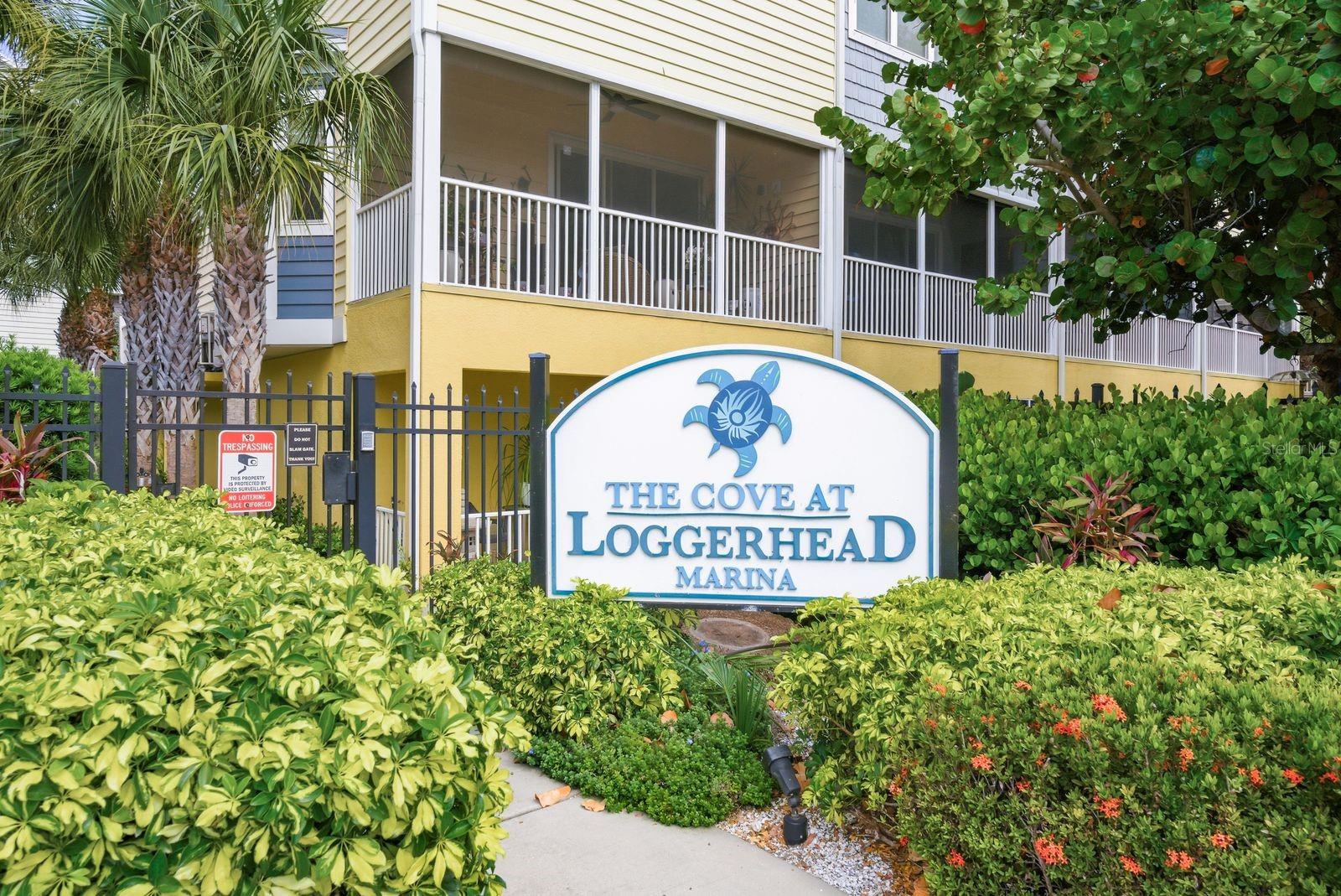 COVE AT LOGGERHEAD MARINA - Residential