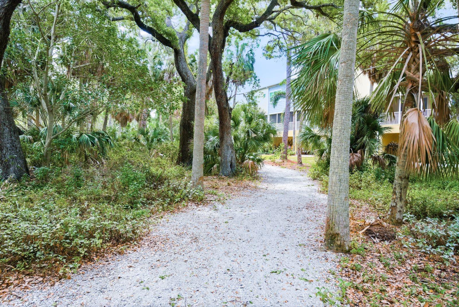 COVE AT LOGGERHEAD MARINA - Residential