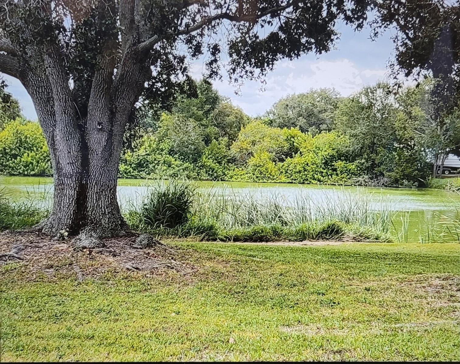 LOCKWOOD MEADOWS - Residential