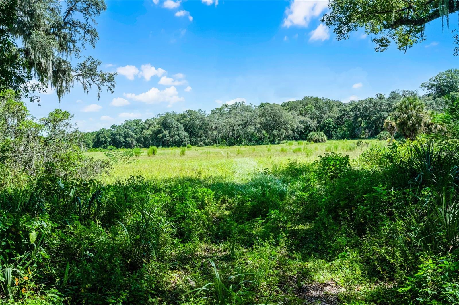 ***ADJACENT LAND TO SOUTH IS ALSO FOR SALE (7625 Clarcona Ocoee Road) under MLS #O6339240.*** A generational family home sits on this expansive 18.35 acre estate. Built in 1950, this custom-built home boasts one bedroom and one bathroom under 616 square feet is surrounded by rolling landscape with mature trees. The front patio takes you into the kitchen which is adjacent to the family room. The primary bedroom features a walk-in closet while the bathroom includes a shower with a door to the side patio. And there is a back patio as well. Older structures on the property include two pole barns. As you could imagine, there was a time where the family enjoyed not only this home, but the potential in this unique northwest Orlando property lies in the vast mostly cleared pastures and fields. It was a working farm back in the day with horses and cattle and currently zoned A-1 Agricultural where swimming in the pond was a regular activity on hot summer days. While the home is in need of a lot of work or it may be a teardown and you built your dream home, the potential in this property lies with the land. Build your custom-built dream home or re-establish the homestead as a farm, nursery or equestrian center. Farm animals are permitted subject to county guidelines. Custom built homes, accessory dwelling units and setbacks subject to building codes. The potential is huge for rezoning as well as for city or county government development opportunities like a community complex. Ideal for mixed-used, retail, institutional and nonprofit projects and the possibility for residential development and various real estate ventures. Easy access to major highways, infrastructure and local amenities. Everything needed to live, shop and play is minutes away. You’ve got country-living in a great location with privacy and access to big city amenities to enjoy all central Florida has to offer. Less than 20 minutes away from schools, hospitals, the YMCA as well as parks, golf and other outdoor activities. DOWNTOWN ORLANDO and its amenities including professional sports, festivals and concerts among other events are also a short drive. And Orlando International Airport and Universal Studios, SeaWorld and Disney World are a 30-minute drive. It’s just 60 minutes to the East Coast and if you fancy a day trip in just two hours you can be on the beautiful beaches of the Gulf of America!! Prime location and great investment to buy and hold or build and develop with solid growth potential. You don’t want to miss this rare opportunity to make this substantial plot of central Florida real estate your own!!